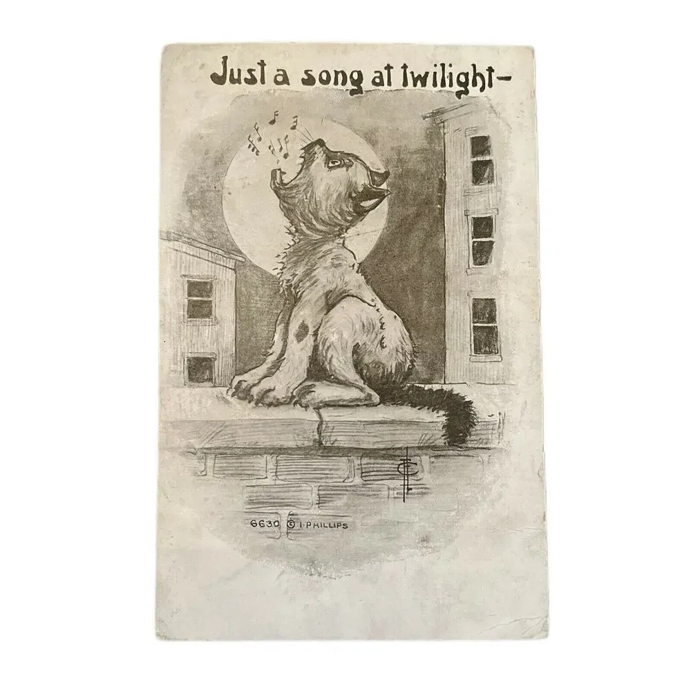 Antique 1911 Postcard Howling Cat On Wall I. Phillips Artist Humor Whimsical GUC